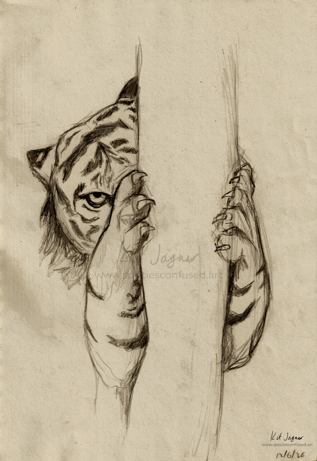 Sepia pencil sketch of a tiger hiding behind a tree